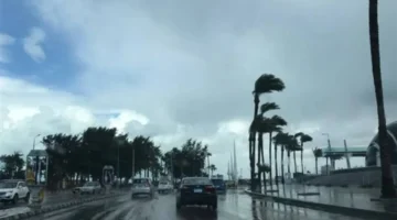 الأرصاد تحذر من عاصفة رملية تقترب من الحدود المصرية مصحوبة بسقوط أمطار